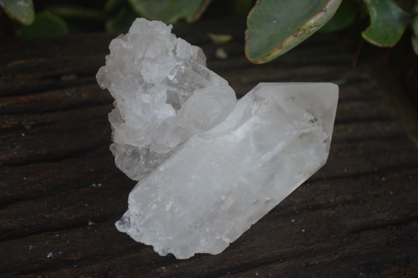 Natural Clear Quartz Crystal Specimens  x 6 From Zambia - Toprock Gemstones and Minerals 