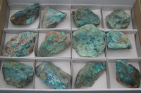 Natural Rough Blue Shattuckite Specimens  x 12 From Namibia - TopRock