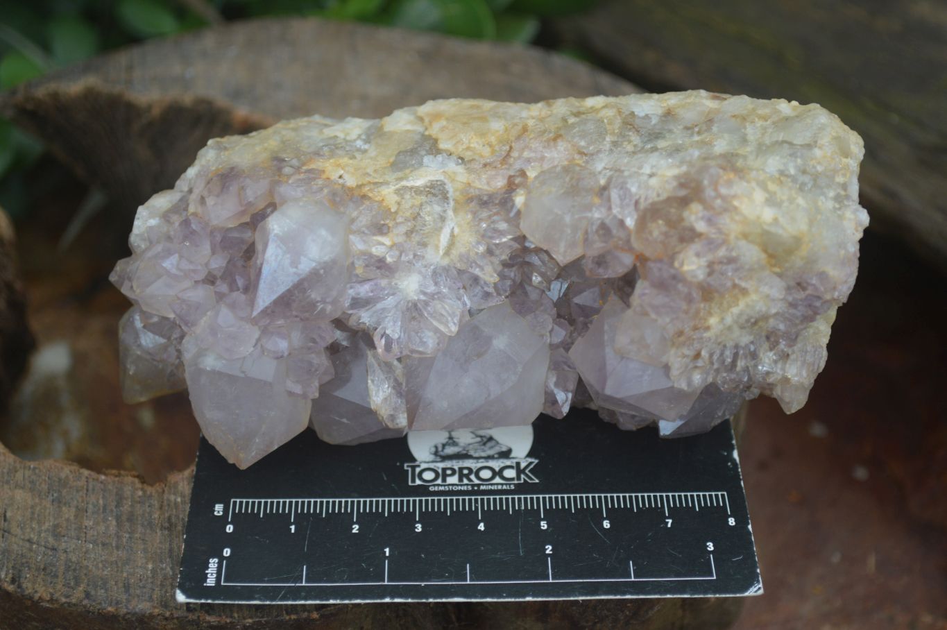Natural Spirit Amethyst Quartz Clusters  x 4 From Boekenhouthoek, South Africa - Toprock Gemstones and Minerals 