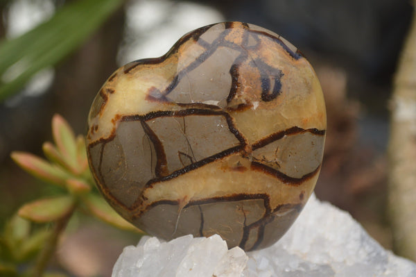 Polished Septaria (Aragonite & Calcite) Hearts  x 6 From Mahajanga, Madagascar - TopRock