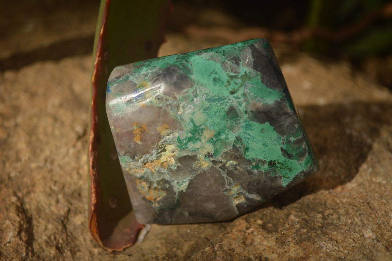 Polished  Blue Shattuckite Free Forms x 6 From Kaokoveld, Namibia - Toprock Gemstones and Minerals 