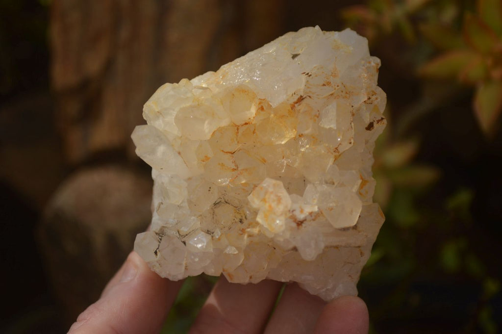 Natural Mixed Selection Of Quartz Clusters  x 12 From Madagascar - Toprock Gemstones and Minerals 