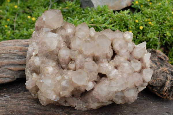 Natural Smokey Phantom Quartz Cluster x 1 From Lwena, Congo - TopRock