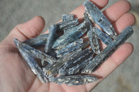 Natural Single Blue Kyanite Crystals  x 1.9 Kg Lot From Karoi, Zimbabwe - Toprock Gemstones and Minerals 