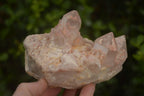 Natural Pineapple Candle Quartz Clusters  x 2 From Madagascar - Toprock Gemstones and Minerals 