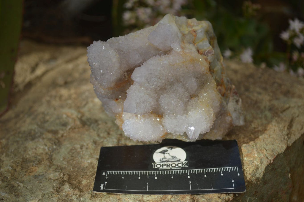 Natural Pale Lilac Spirit Quartz Clusters x 2 From Boekenhouthoek, South Africa - Toprock Gemstones and Minerals 