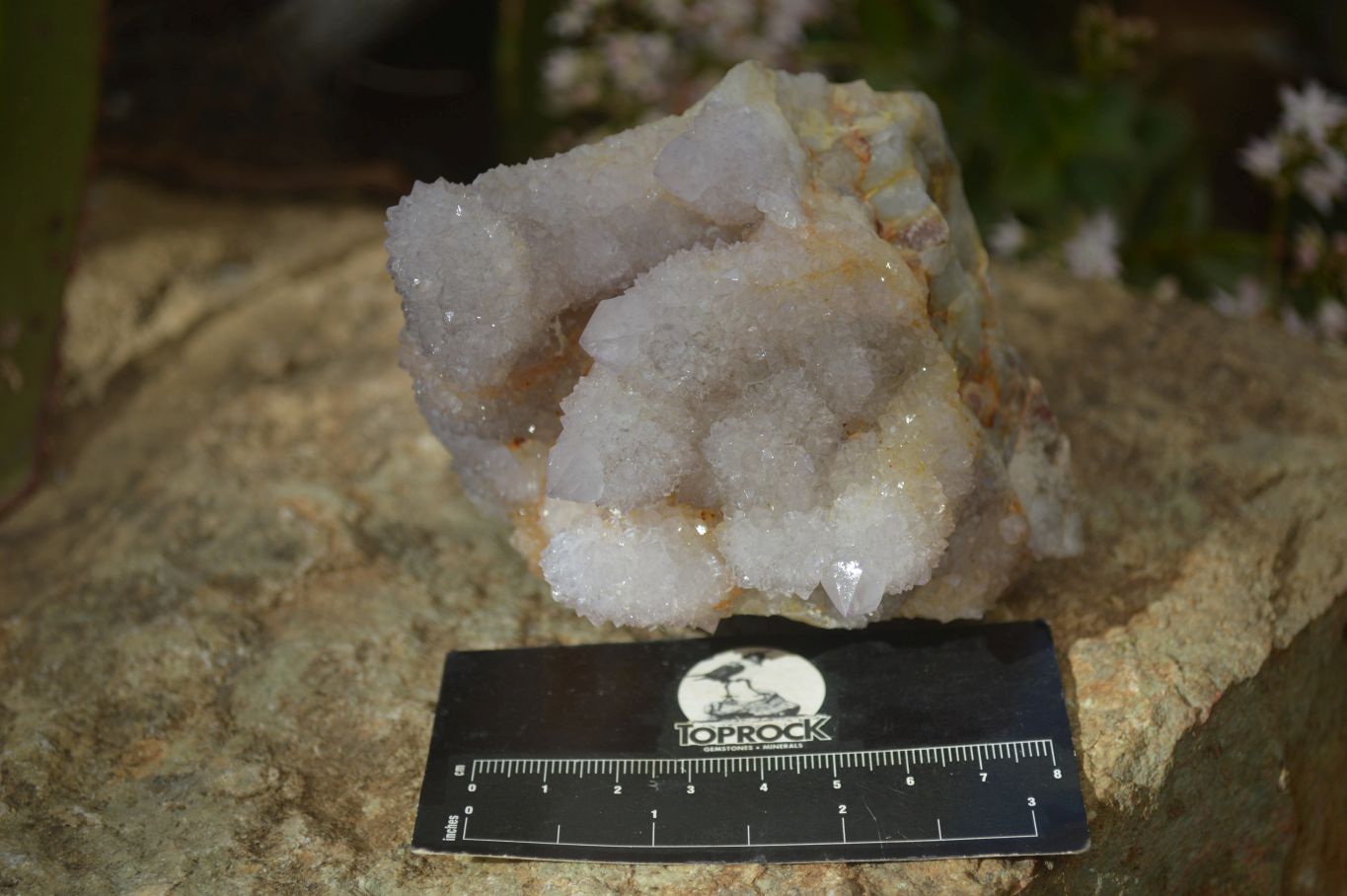 Natural Pale Lilac Spirit Quartz Clusters x 2 From Boekenhouthoek, South Africa - Toprock Gemstones and Minerals 