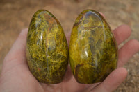 Polished  Green Opal Standing Free Forms x 6 From Madagascar