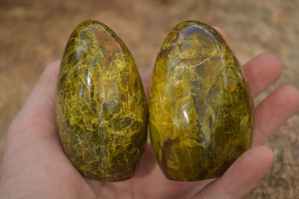 Polished  Green Opal Standing Free Forms x 6 From Madagascar