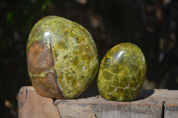 Polished Green Opal Standing Free Forms  x 2 From Antsirabe, Madagascar - Toprock Gemstones and Minerals 