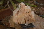 Natural Pineapple Candle Quartz Clusters  x 2 From Madagascar - Toprock Gemstones and Minerals 