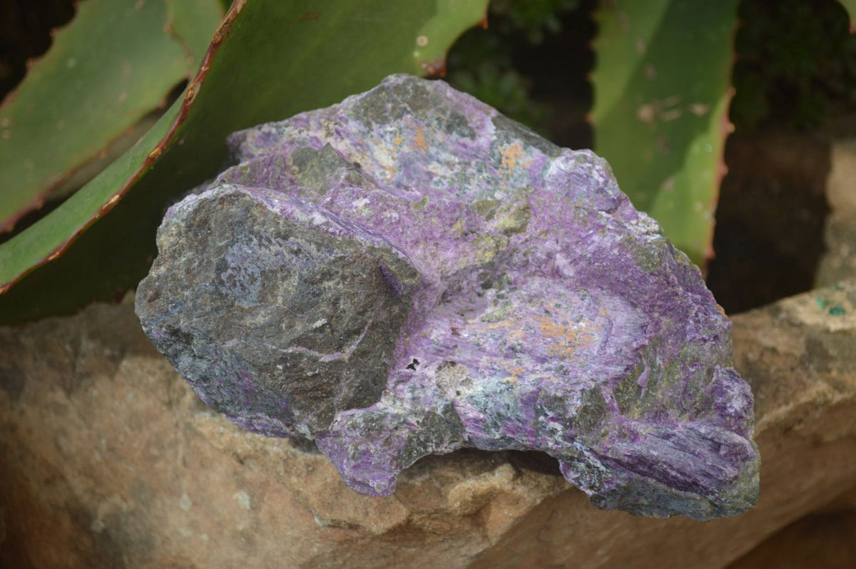 Natural Rough Stichtite & Serpentine Specimens x 4 From Barberton, South Africa - Toprock Gemstones and Minerals 