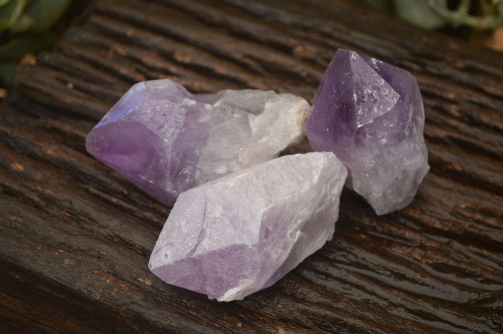 Natural Single Jacaranda Amethyst Crystals x 12 From Mumbwe, Zambia - Toprock Gemstones and Minerals 