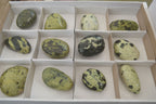 Polished Spotted Leopard Stone Free Forms  x 12 From Zimbabwe - Toprock Gemstones and Minerals 