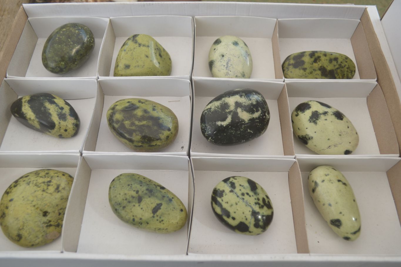 Polished Spotted Leopard Stone Free Forms  x 12 From Zimbabwe - Toprock Gemstones and Minerals 