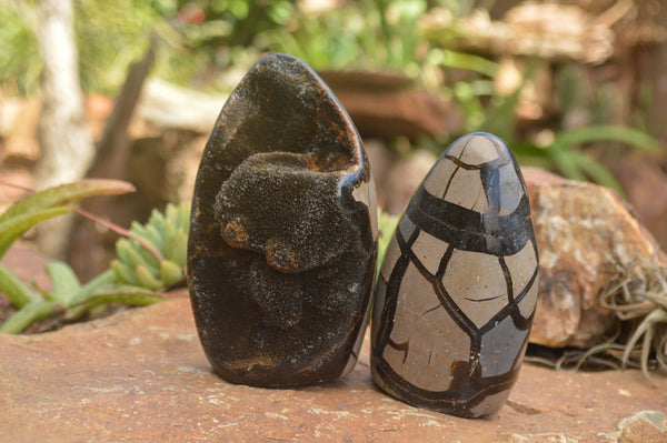 Polished Septaria (Calcite & Aragonite) Standing Free Forms  x 2 From Mahajanga, Madagascar - TopRock