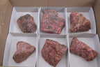 Natural Rough Red Rhodonite Specimens x 6 From Zimbabwe - Toprock Gemstones and Minerals 