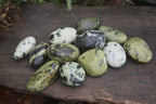 Polished Spotted Leopard Stone Free Forms  x 12 From Zimbabwe - Toprock Gemstones and Minerals 