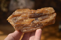 Natural Honey Aragonite Etched & Cobbed Pieces  x 6 From Namibia - Toprock Gemstones and Minerals 