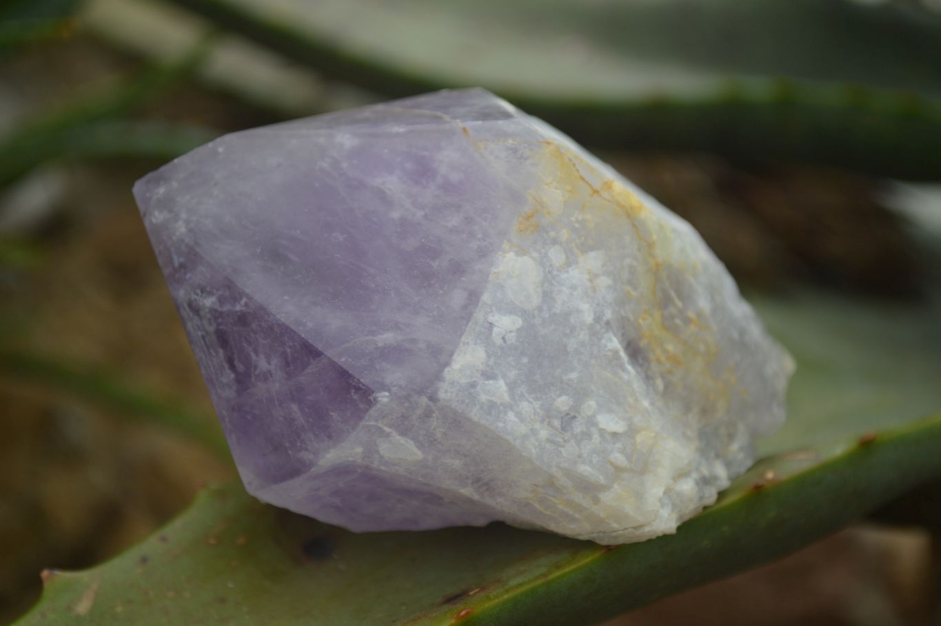 Polished Jacaranda Amethyst Points  x 6 From Zambia - TopRock