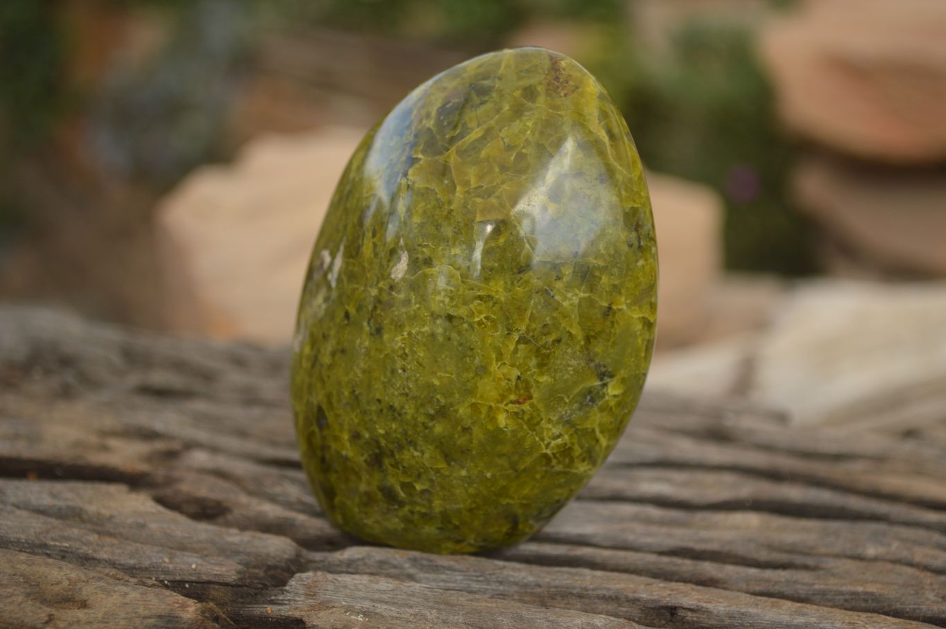 Polished  Green Opal Standing Free Forms x 6 From Madagascar - Toprock Gemstones and Minerals 