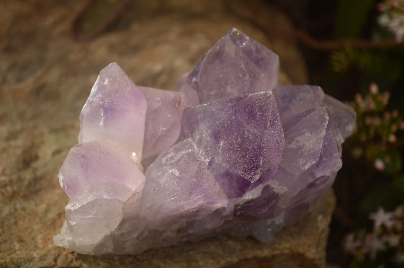 Natural Jacaranda Amethyst Clusters x 2 From Mumbwe, Zambia - Toprock Gemstones and Minerals 