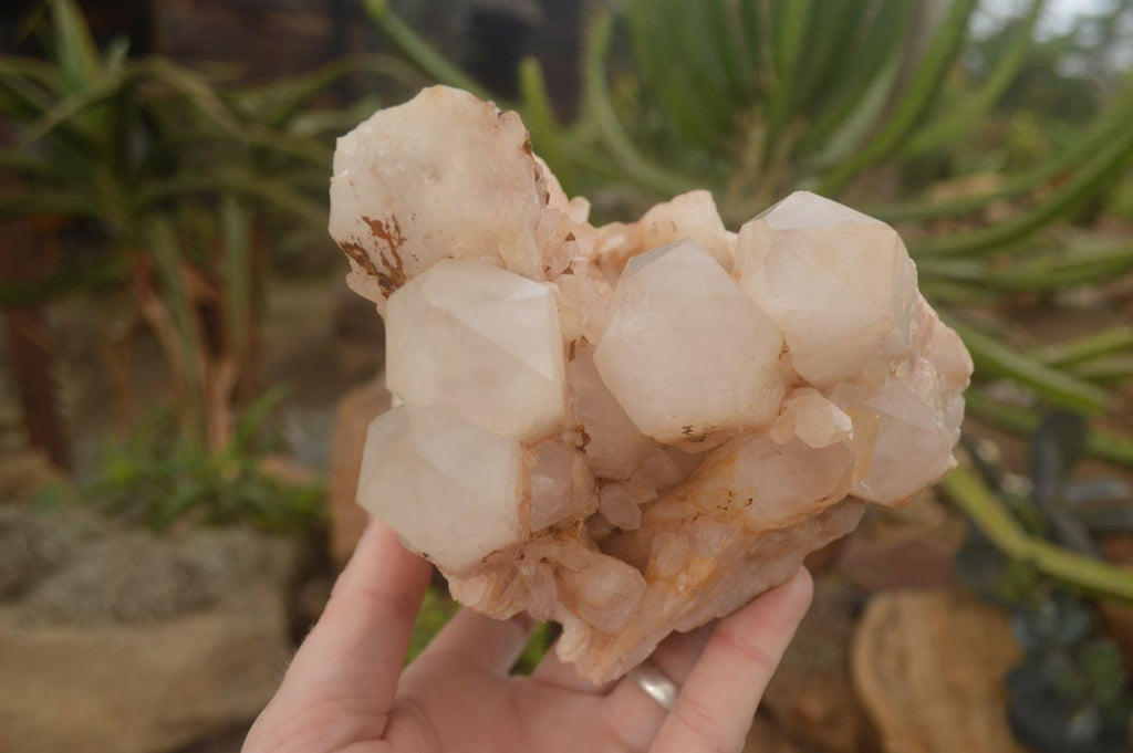Natural Pineapple Candle Quartz Clusters  x 2 From Madagascar - Toprock Gemstones and Minerals 