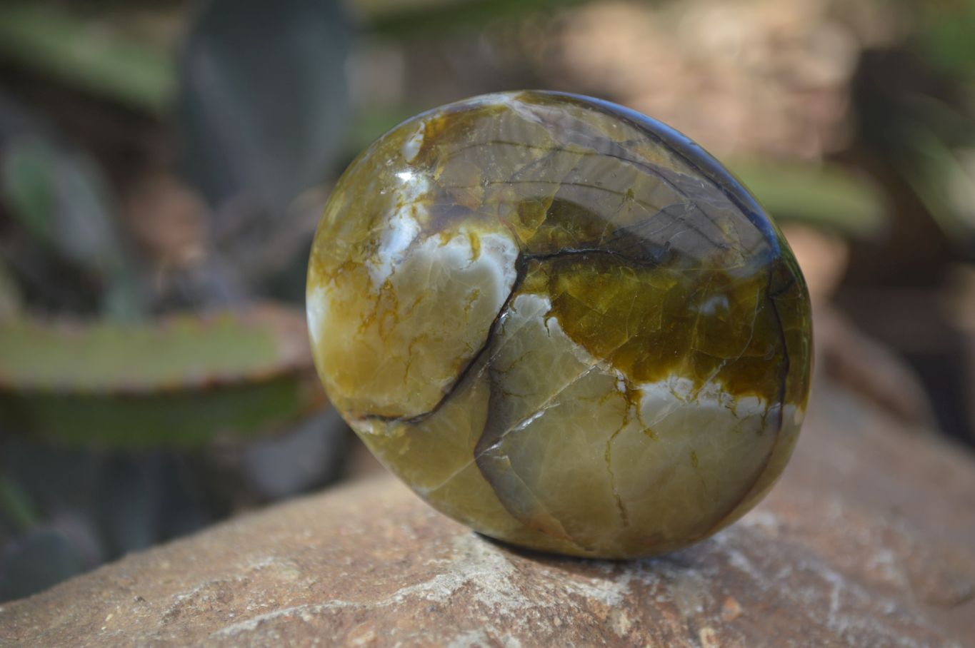 Polished Green Opal Galet / Palm Stones x 12 From Antsirabe, Madagascar - Toprock Gemstones and Minerals 