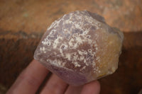 Natural Single Jacaranda Amethyst Crystals x 12 From Mumbwe, Zambia - Toprock Gemstones and Minerals 