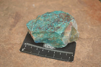 Natural Rough Blue Shattuckite Specimens  x 12 From Namibia - TopRock