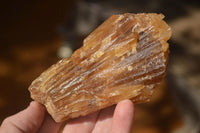 Natural Honey Aragonite Etched & Cobbed Pieces  x 6 From Namibia - Toprock Gemstones and Minerals 