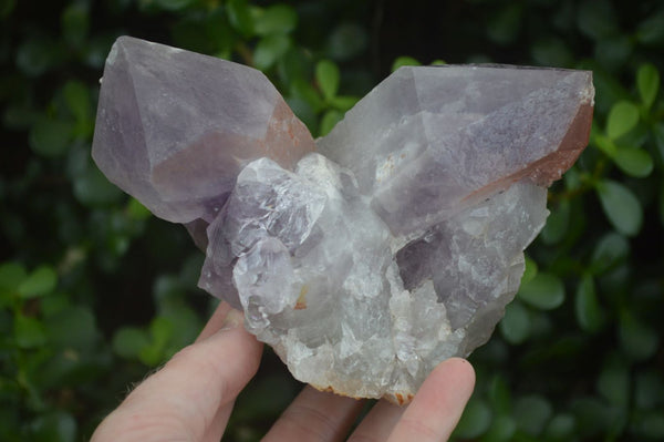 Natural Jacaranda Amethyst Clusters  x 2 From Zambia - Toprock Gemstones and Minerals 