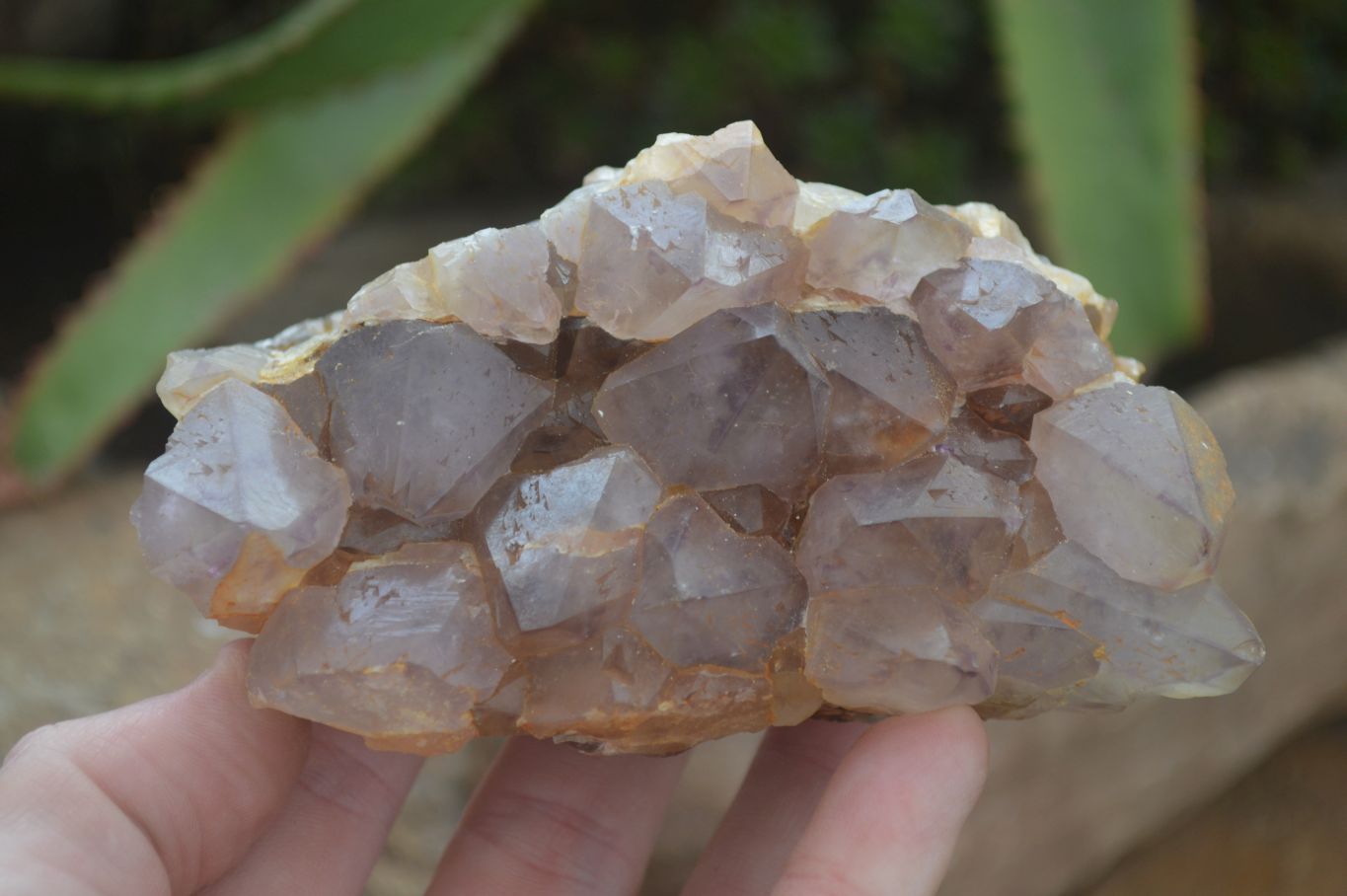 Natural Spirit Amethyst Quartz Clusters  x 4 From Boekenhouthoek, South Africa - Toprock Gemstones and Minerals 