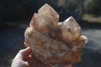 Natural Red Hematoid Phantom Quartz Cluster x 1 From Karoi, Zimbabwe - Toprock Gemstones and Minerals 
