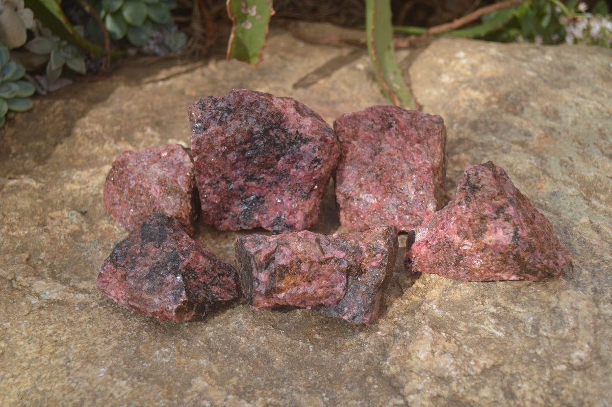 Natural Rough Red Rhodonite Specimens x 6 From Zimbabwe - Toprock Gemstones and Minerals 