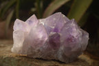 Natural Jacaranda Amethyst Clusters x 2 From Mumbwe, Zambia - Toprock Gemstones and Minerals 