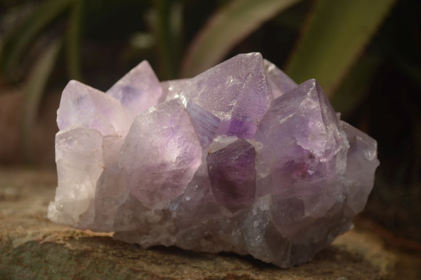 Natural Jacaranda Amethyst Clusters x 2 From Mumbwe, Zambia - Toprock Gemstones and Minerals 