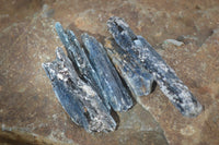 Natural Single Blue Kyanite Crystals  x 1.9 Kg Lot From Karoi, Zimbabwe - Toprock Gemstones and Minerals 