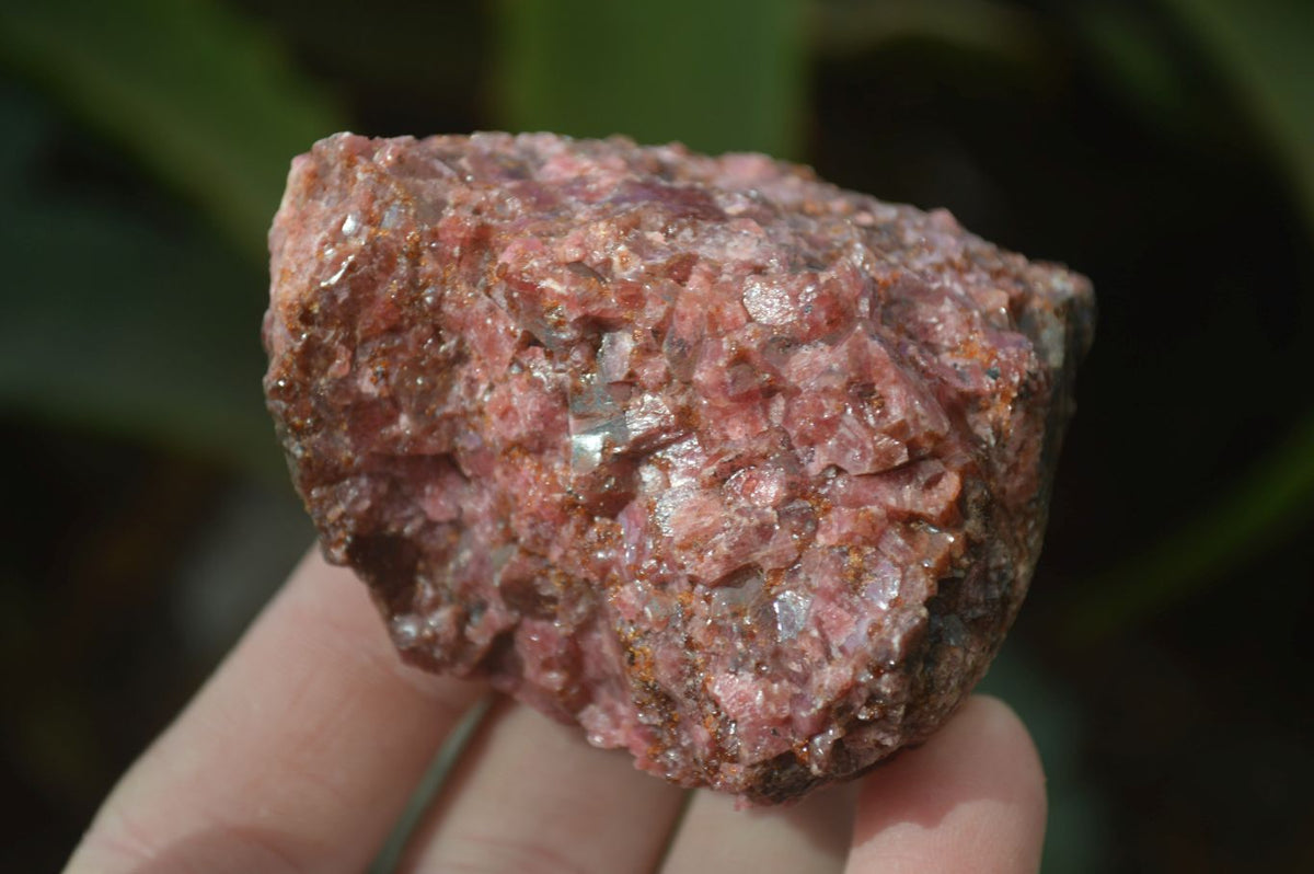 Natural Rough Red Rhodonite Specimens x 6 From Zimbabwe - Toprock Gemstones and Minerals 