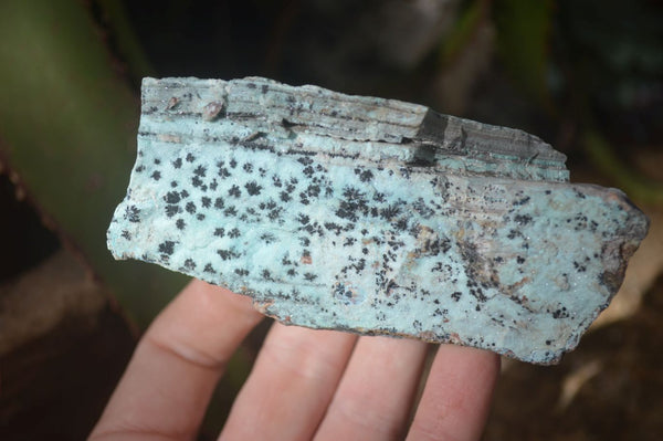 Natural Drusy Coated Chrysocolla Dolomite Specimens x 6 From Likasi, Congo - Toprock Gemstones and Minerals 