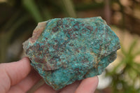 Natural Rough Blue Shattuckite Specimens  x 12 From Namibia - TopRock