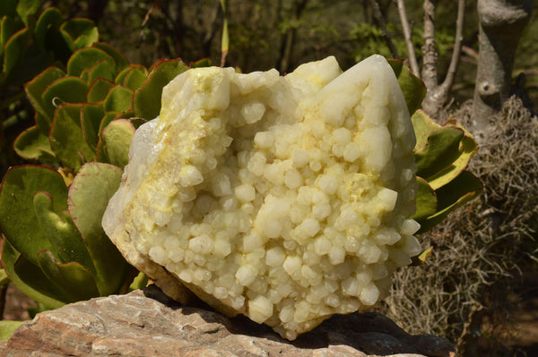 Polished Groovy Cathedral with Love Star Termination Quartz Cluster  x 1 From Antsirabe, Madagascar - TopRock