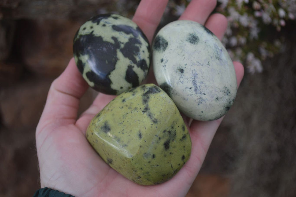 Polished Spotted Leopard Stone Free Forms  x 12 From Zimbabwe - Toprock Gemstones and Minerals 