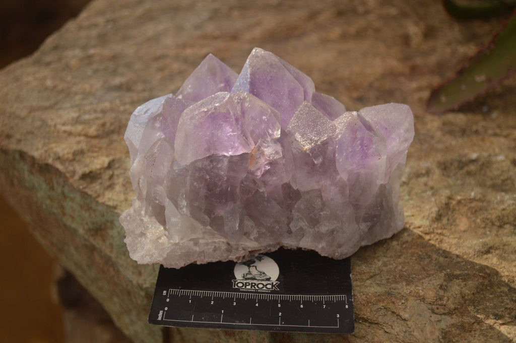 Natural Jacaranda Amethyst Clusters x 2 From Mumbwe, Zambia - Toprock Gemstones and Minerals 
