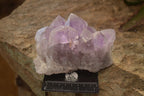 Natural Jacaranda Amethyst Clusters x 2 From Mumbwe, Zambia - Toprock Gemstones and Minerals 