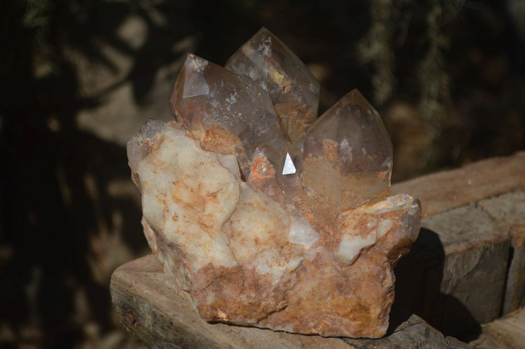 Natural Red Hematoid Phantom Quartz Cluster x 1 From Karoi, Zimbabwe - Toprock Gemstones and Minerals 