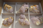 Natural Spirit Amethyst Quartz Clusters x 6 From Boekenhouthoek, South Africa - Toprock Gemstones and Minerals 