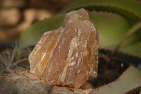 Natural Honey Aragonite Etched & Cobbed Pieces  x 6 From Namibia - Toprock Gemstones and Minerals 