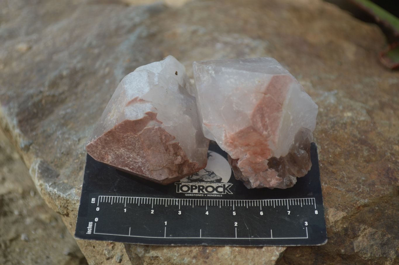 Natural Smokey Hematoid Quartz Crystals  x 35 From Madagascar - Toprock Gemstones and Minerals 