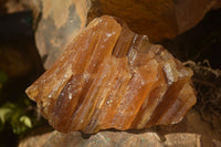 Natural Honey Aragonite Etched & Cobbed Pieces  x 6 From Namibia - Toprock Gemstones and Minerals 